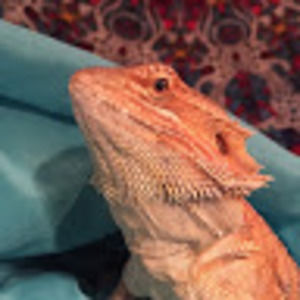 Meet your Posher, Mfarriag